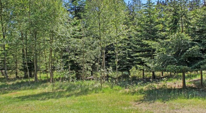 Photo of "Gerarda" - 4km from the sea