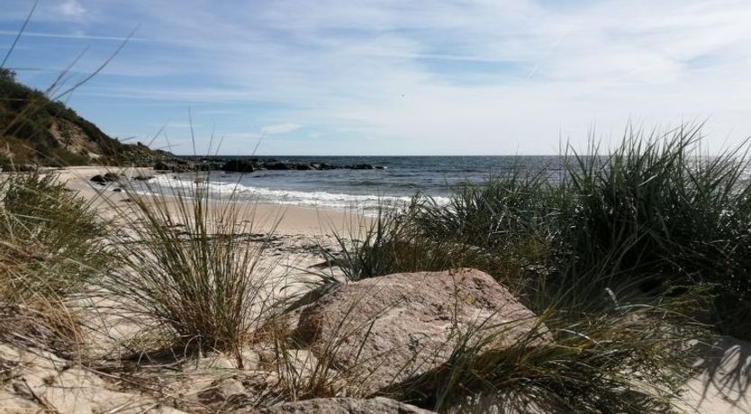 Photo of "Wilgrib" - 50m from the sea