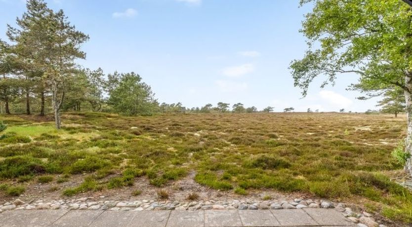 Photo of "Eliza" - 600m from the sea