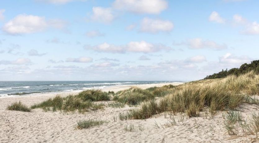 Photo of "Selvi" - 125m from the sea