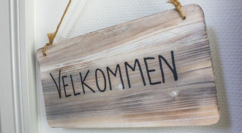 Photo of "Brun" - 60m from the sea