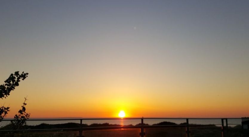 Photo of "Brun" - 60m from the sea