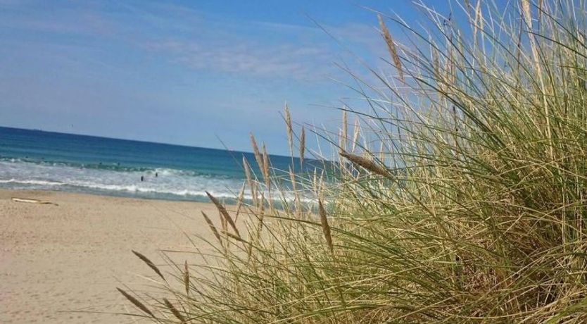 Photo of "Brun" - 60m from the sea