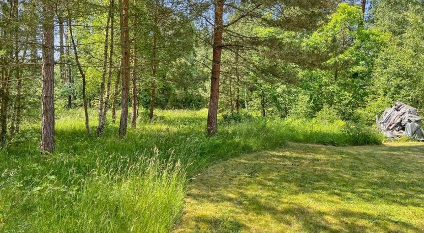 Photo of "Ila" - 500m from the sea