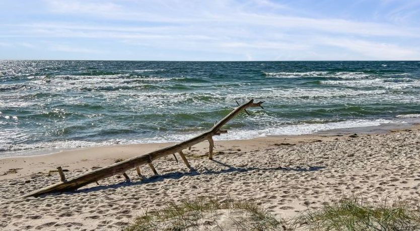 Photo of "Nea" - 600m from the sea