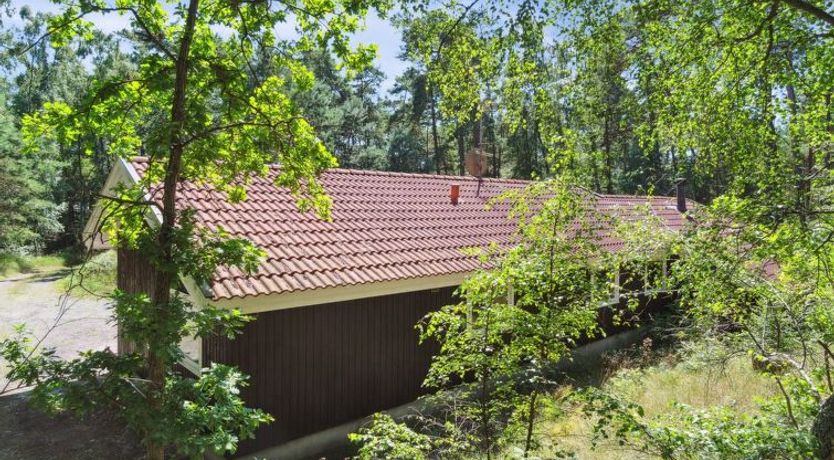 Photo of "Nea" - 600m from the sea