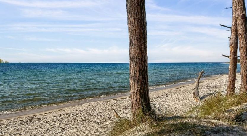 Photo of "Nea" - 600m from the sea