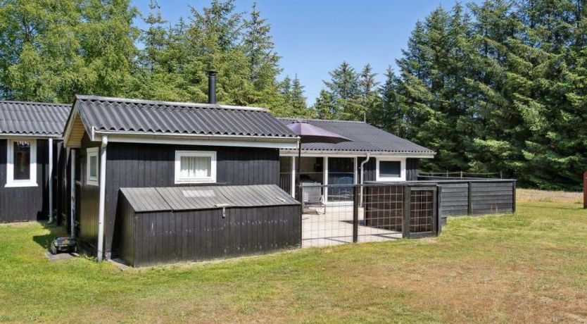 Photo of "Ally" - 250m from the sea