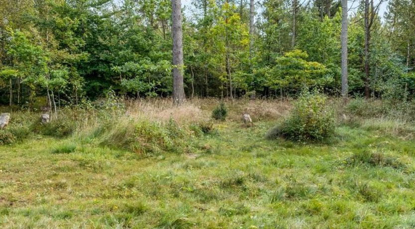 Photo of "Reinfried" - 250m from the sea