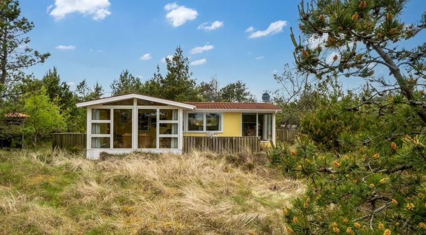 Photo of "Kimi" - 75m from the sea