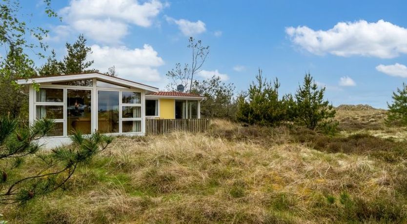 Photo of "Kimi" - 75m from the sea