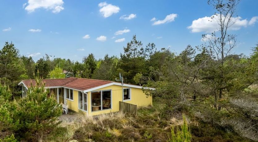 Photo of "Kimi" - 75m from the sea