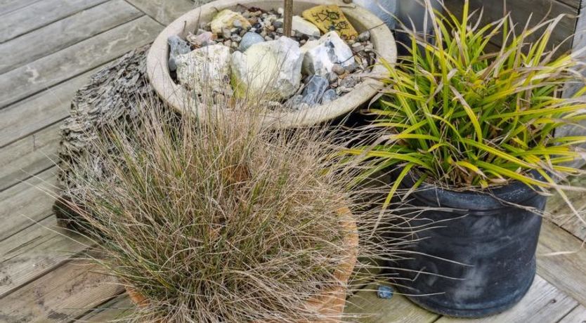 Photo of "Aksinja" - 700m from the sea