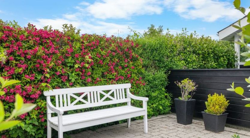 Photo of "Maaria" - 400m from the sea