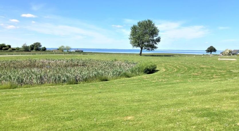 Photo of "Daniela" - 300m from the sea