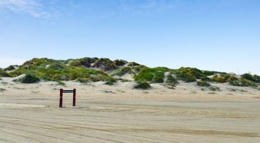 Photo of "Guder" - 500m from the sea