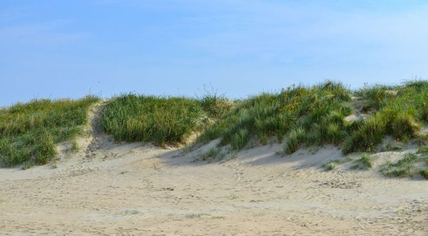 Photo of "Kerlin" - 500m from the sea