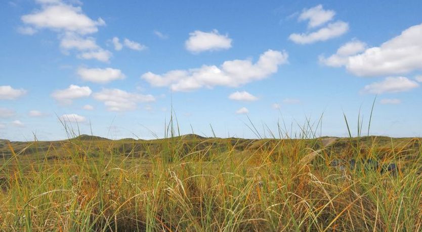 Photo of "Katha" -  from the sea