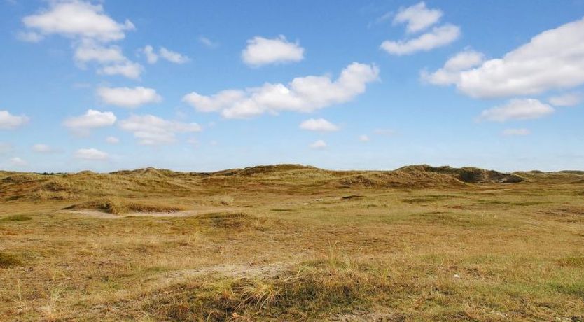 Photo of "Katha" -  from the sea