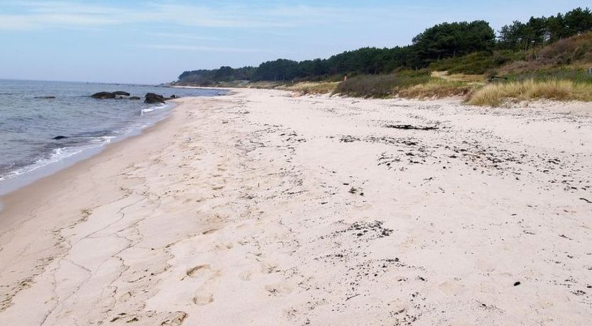 Photo of "Helmi" - 1km from the sea