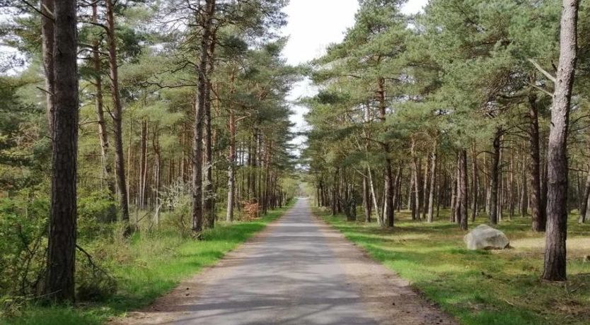 Photo of "Helmi" - 1km from the sea