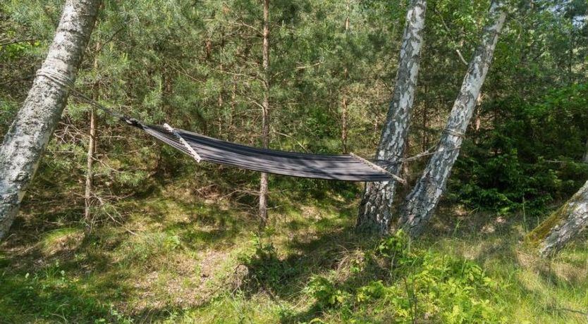 Photo of "Eirik" - 700m from the sea