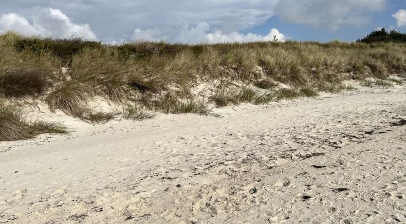 Photo of "Eirik" - 700m from the sea