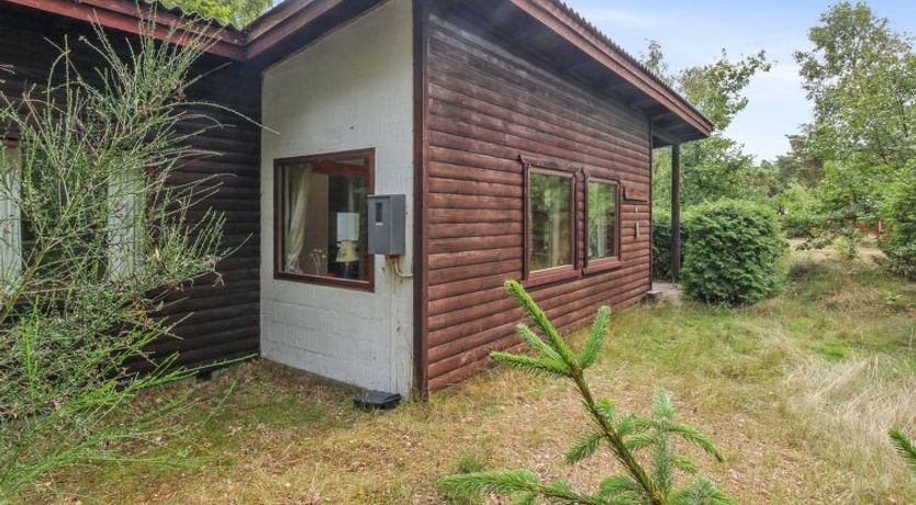 Photo of "Farina" - 150m from the sea