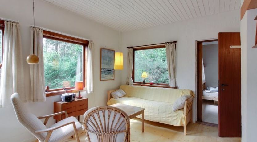 Photo of "Farina" - 150m from the sea