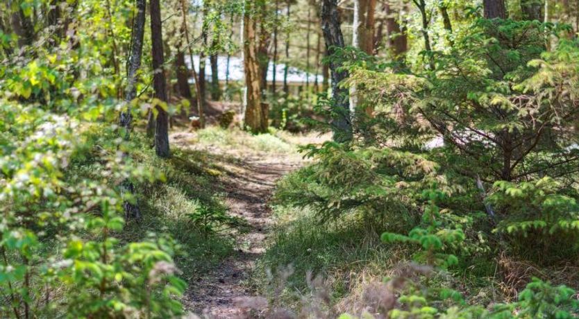 Photo of "Olla" - 400m from the sea