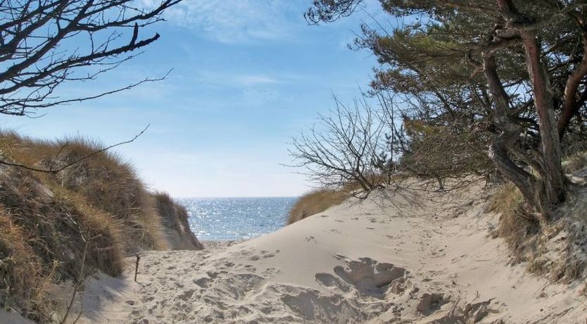 Photo of "Olla" - 400m from the sea