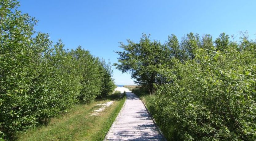 Photo of "Amaru" - 500m from the sea