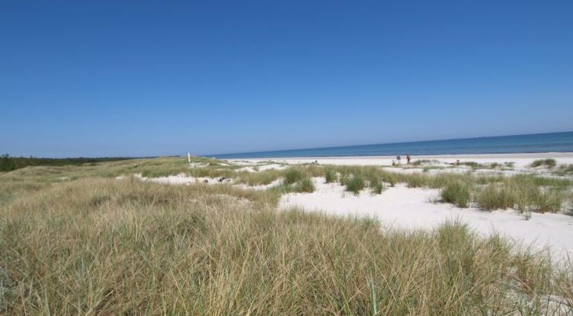 Photo of "Amaru" - 500m from the sea