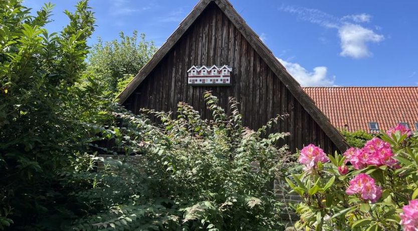 Photo of "Skyler" - 250m from the sea