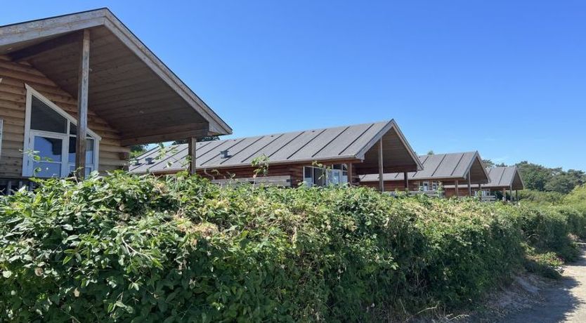 Photo of "Olina" - 10m from the sea