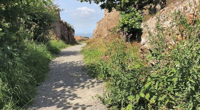 Photo of "Steffi" - 300m from the sea