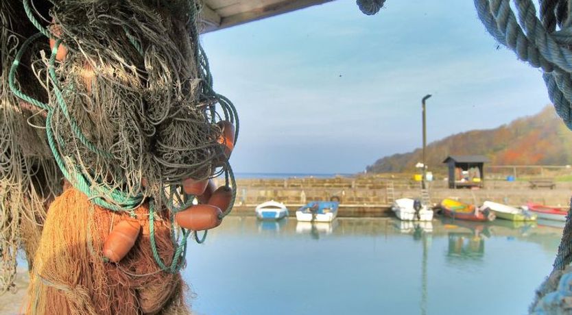 Photo of "Uschi" - 15m from the sea