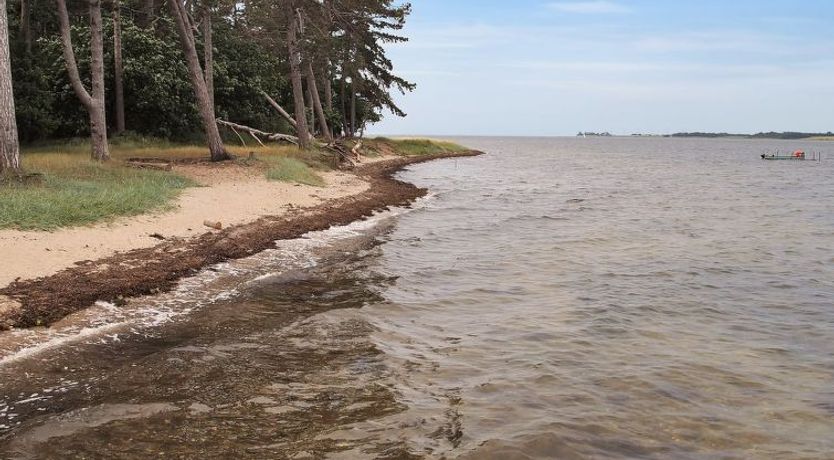 Photo of "Jeip" - 400m to the fjord