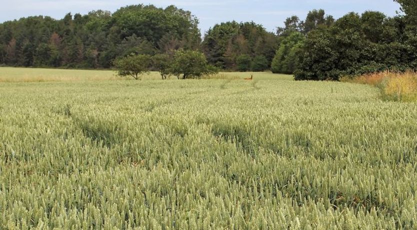 Photo of "Jeip" - 400m to the fjord