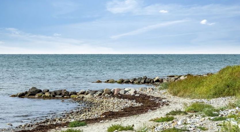 Photo of "Svanborg" - 40m from the sea