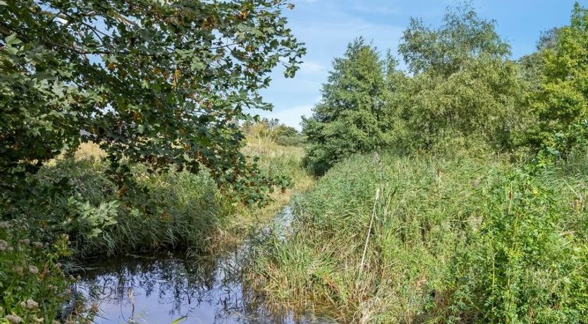 Photo of "Svanborg" - 40m from the sea