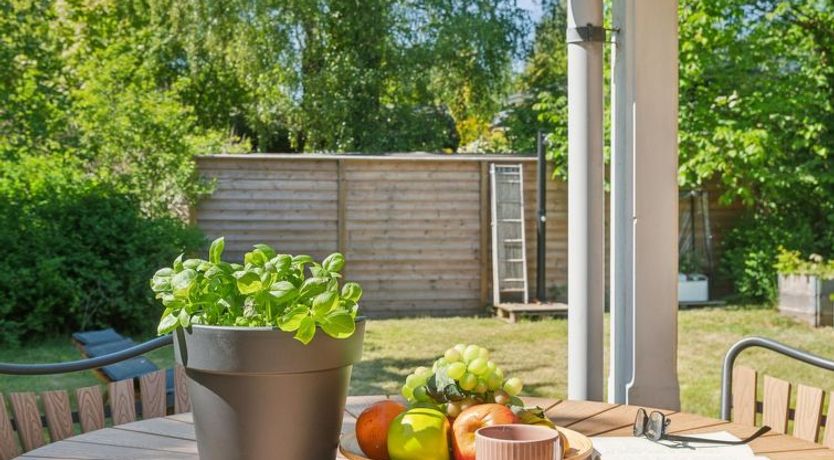 Photo of "Jovana" - 150m to the fjord