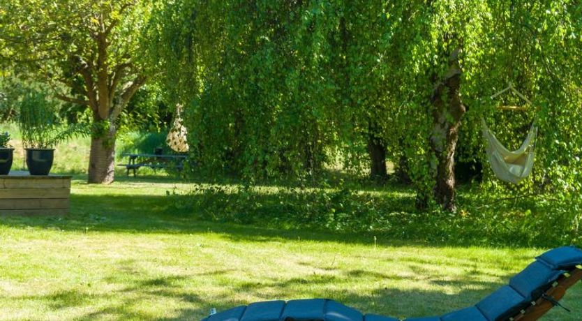 Photo of "Jovana" - 150m to the fjord