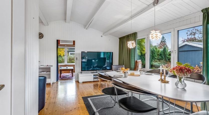 Photo of "Aameek" - 100m from the sea