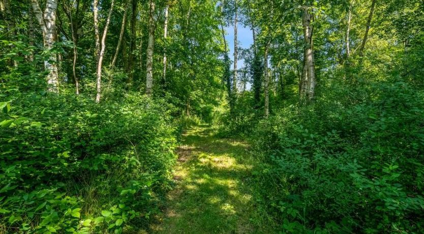 Photo of "Patrice" - 300m from the sea