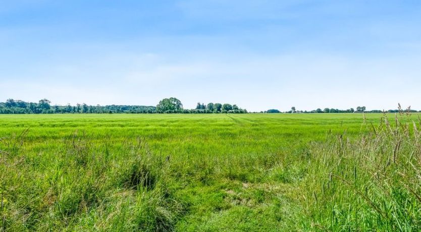 Photo of "Patrice" - 300m from the sea