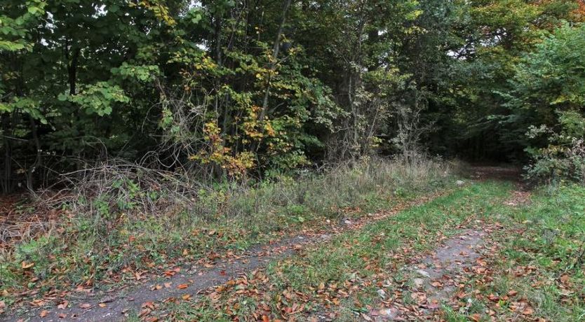 Photo of "Vojo" - 100m from the sea