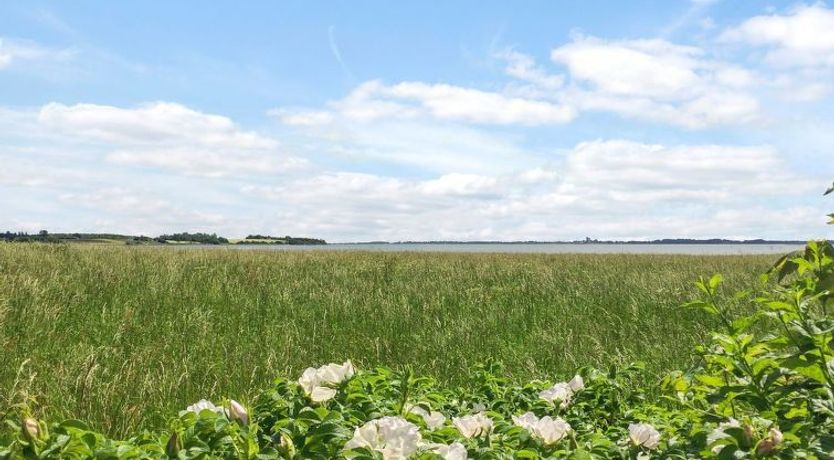 Photo of "Vojo" - 100m from the sea