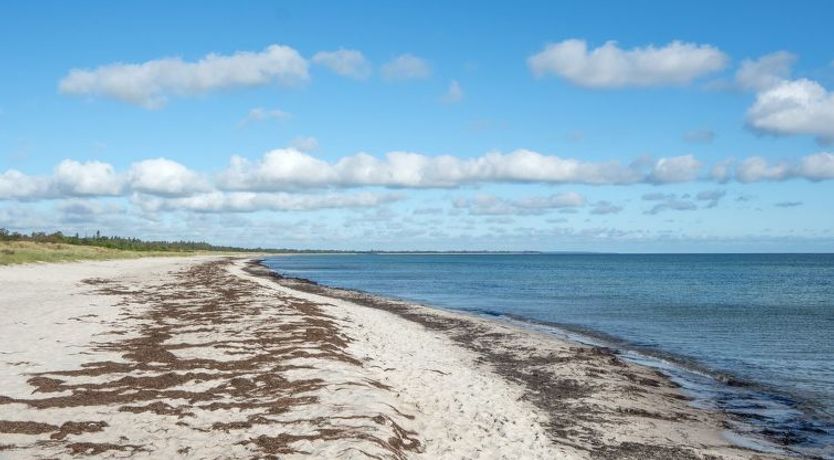 Photo of "Bergit" - 55m from the sea