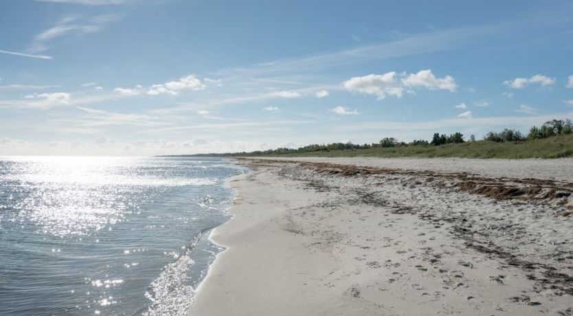 Photo of "Bergit" - 55m from the sea